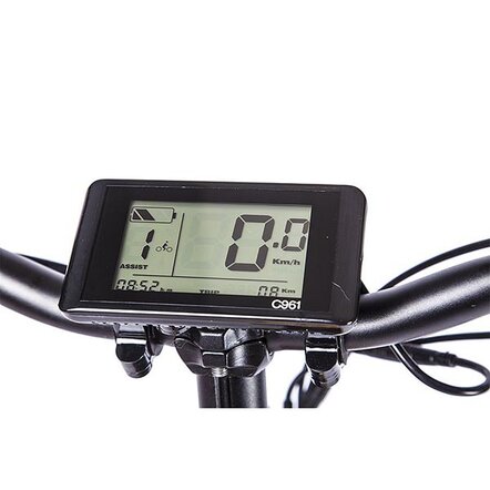 Велогибрид Wellness Bad Dual